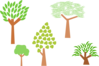 Cartoon Trees Clip Art